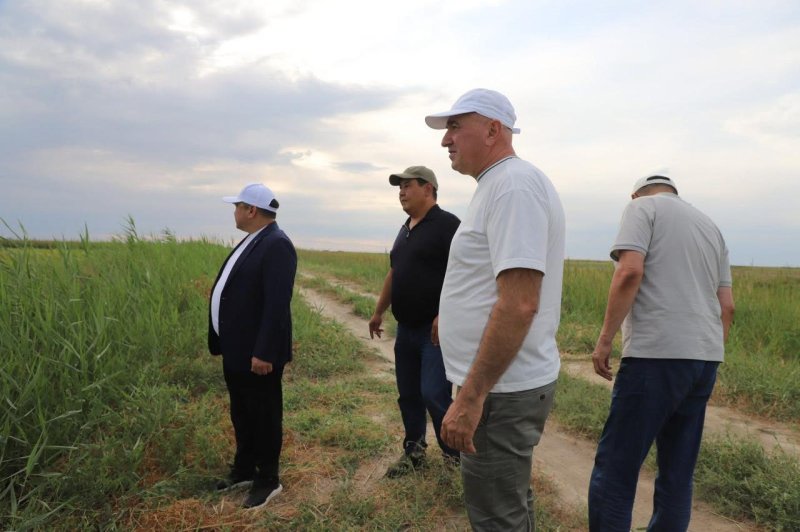 ЕГІС АЛҚАПТАРЫНЫҢ ЖҰМЫСЫ ТЕКСЕРІЛДІ