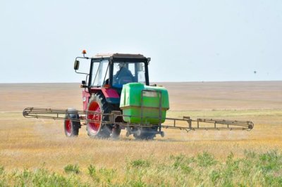 Шегірткеге қарсы күрес жұмыстары жүргізілуде